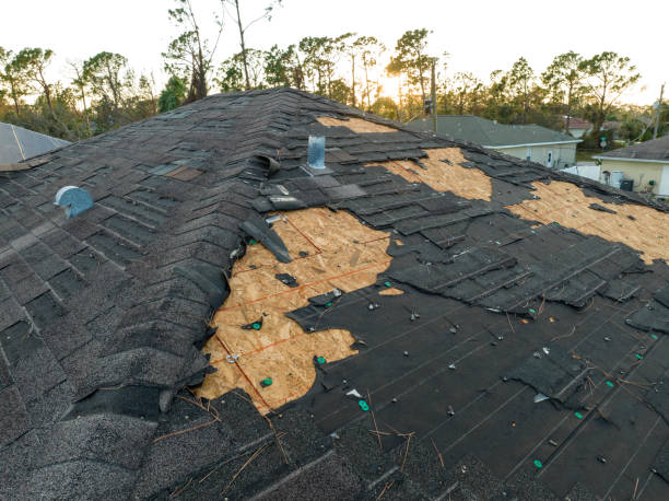 Best Skylights  in Seabrook, SC